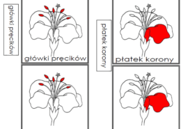Zabezpieczone: Dzień 11