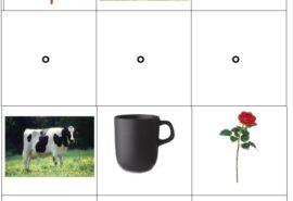 Zabezpieczone: Dzień 5